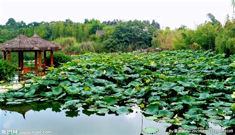 2023锦江白鹭溪生态公园游玩攻略,很棒的湿地公园，里面太宽了... 【去哪儿攻略】