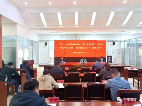 蒙阴县委政法委开展“奋力走在前，党员怎么干”主题研讨 - 政经 - 临沂频道