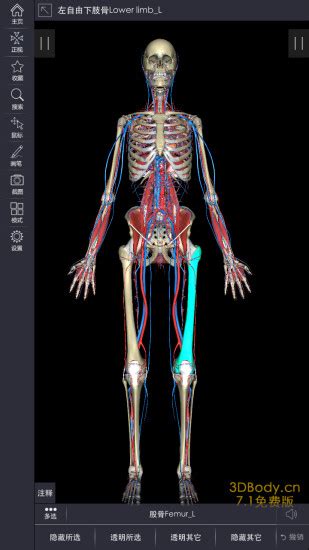 3Dbody解剖app|3Dbody解剖软件下载 v7.6.0 安卓版 - 比克尔下载