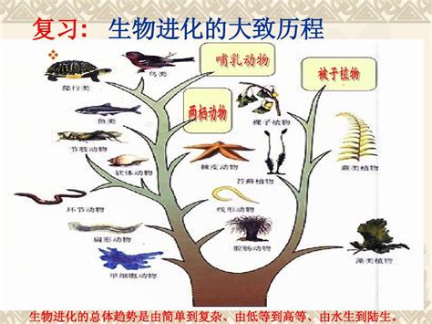 生物进化历程及研究方法_汉泊客文化网