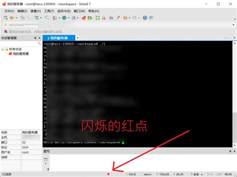 Xshell常用的20个命令 Xshell怎么运行代码-Xshell中文网