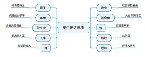 思维导图昆虫记图片