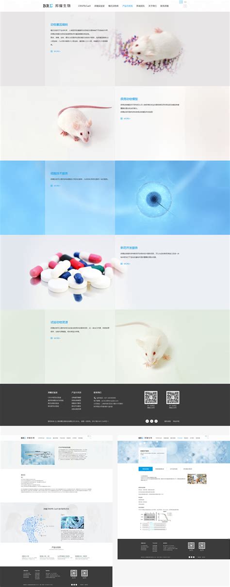 上海邦耀生物科技-生物科技类网页设计_定制_改版-营销型网站 ...