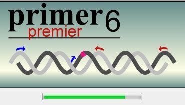 Primer5电脑版下载_Primer5免费版下载(暂未上线)-统一下载