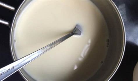 纯牛奶不加奶油怎么做雪糕 - 鲜淘网