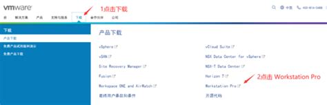 虚拟机VMware官网下载教程，中文详细步骤（图文）-CSDN博客
