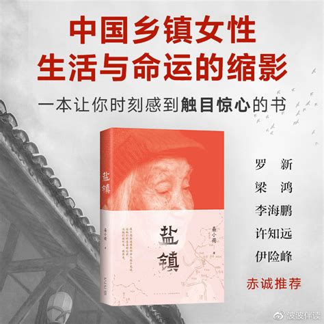 《盐镇》一本深度书写中国乡镇女性的生活与命运的佳作