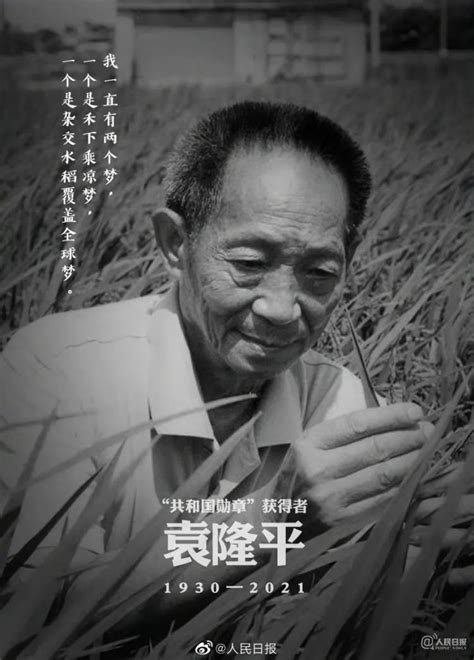 悼念袁隆平 | 他带着梦的种子去了远方 - MBAChina网