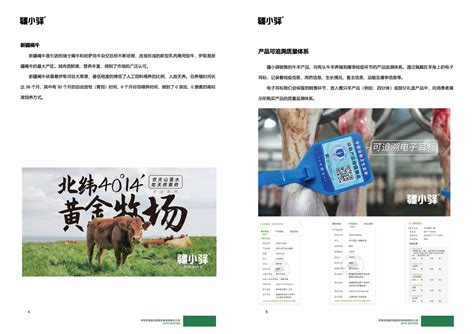 新疆伊犁的诱惑旅游海报PSD广告设计素材海报模板免费下载-享设计