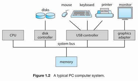 计算机软件和硬件的作用