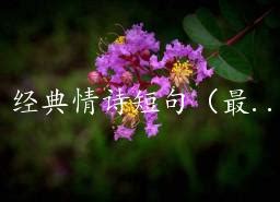 七夕，带上《我在贵州等你》最美情诗，去中国天眼浪漫的表白