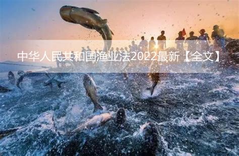 中华人民共和国渔业法2022 - 律科网