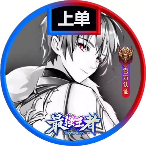 职业非主流王者头像