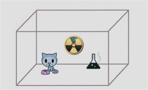薛定谔之猫（量子力学思维实验） - 搜狗百科