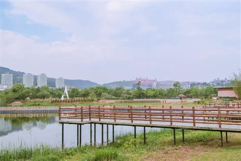 襄阳市月亮湾公园散步-bilibili(B站)无水印视频解析——YIUIOS易柚斯