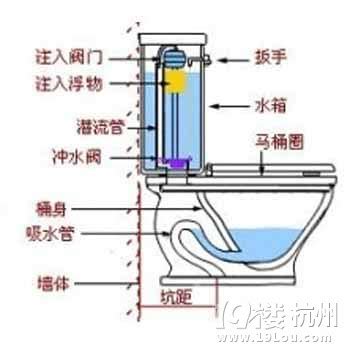 马桶内部结构图图片