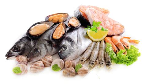 海鲜产品检测_百检网食品检测机构