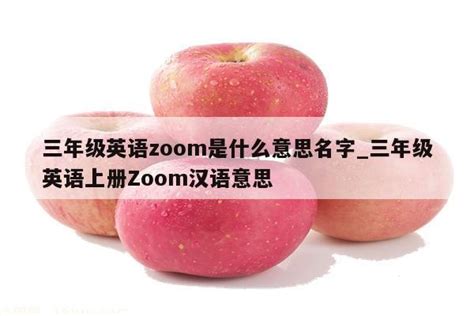 三年级英语zoom是什么意思名字_三年级英语上册Zoom汉语意思 - zoom相关 - APPid共享网