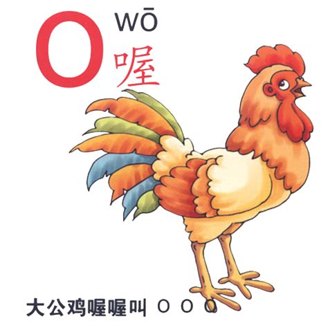 汉语拼音单韵母o的读法|写法|笔顺-最新幼儿汉语拼音网-快学习吧