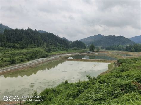 农信助力贵州首个“生态账户”在铜仁江口落地