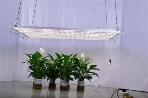 300W八爪鱼植物灯 LED植物生长灯厂家 直销八爪鱼植物补光灯 LED ...