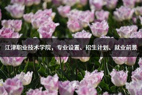 江津专业国央企面试培训基地-重庆高途教育科技有限公司
