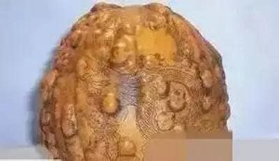 癞痢头图片