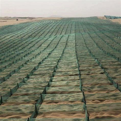 尼龙固沙防沙网 沙漠治理 HDPE 方格阻沙网 1米沙障格子
