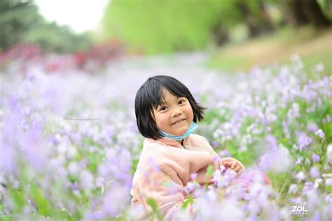 待到春花烂漫时_[标签:标题1]