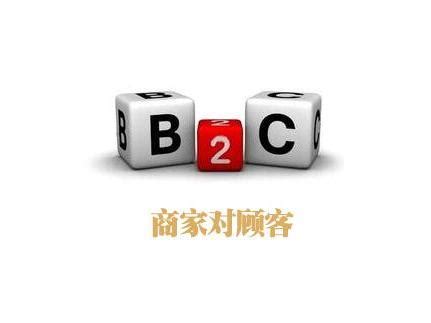 B2C电子商务模式_word文档在线阅读与下载_免费文档