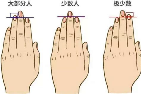 手指的长短和运势有着什么样的关系？