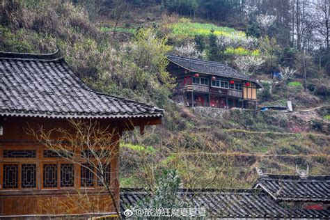 贵州·丹寨·石桥村|丹寨|石桥|化石群_新浪新闻
