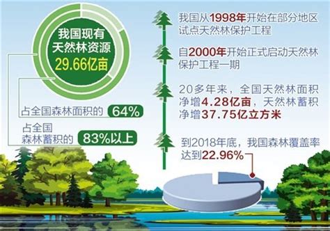 2016-2019年我国森林覆盖率情况_观研报告网