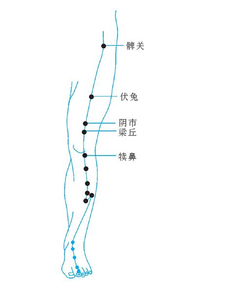 两髀最准位置图图片