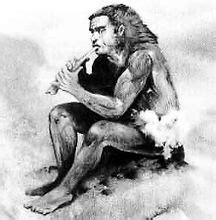 人类的“直系祖先“—上新世时期的古猿_南方_物种_阿法