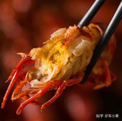 中国人一年吃2000多亿元小龙虾！揭秘养殖场