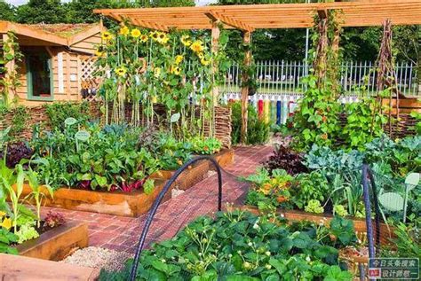 择一处别墅花园静地，开个喜欢的菜园吧 - 新闻资讯 - 上海别墅花园设计，花园设计施工，庭院设计，屋顶花园设计，工厂园林绿化、杭州别墅花园设计