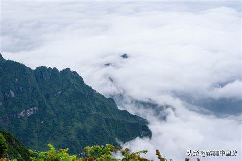 旅游一般自驾游多还是旅游团多