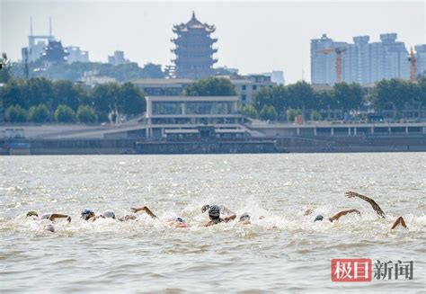 48名泳者风雨中横渡长江 约1小时完成6000米游程(图)_湖北频道_凤凰网