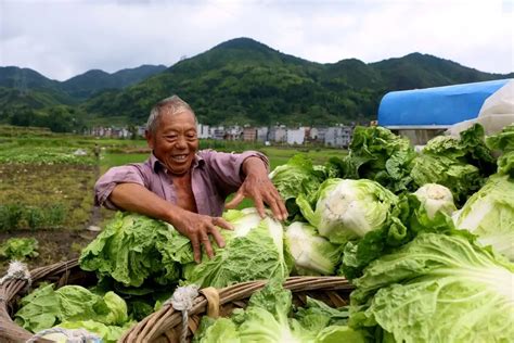 酉阳：万亩高山蔬菜基地春耕忙 - 中国网要闻 - 中国网 • 山东
