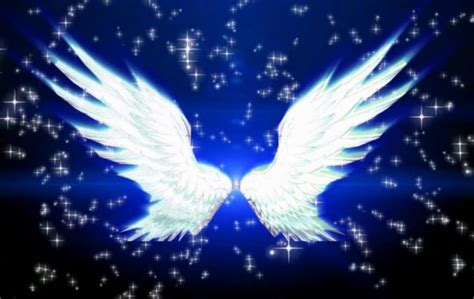 十二星座的守护天使翅膀照片，长二个翅膀的星座
