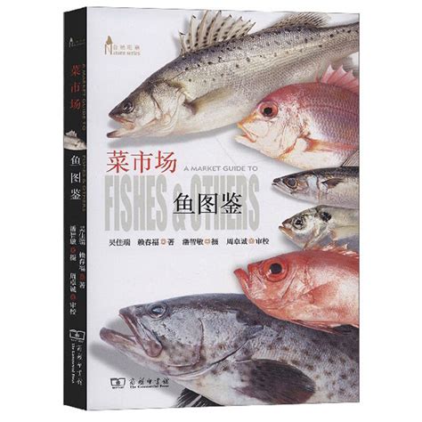 菜市场买鱼图片,菜市场卖鱼图片,菜市场鱼摊图片_大山谷图库