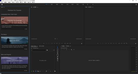 Adobe Premiere Pro下载 - Adobe Premiere Pro 2020 视频编辑 14.2.0.33 BETA 直装破解 ...