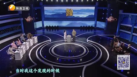 华山论鉴 (2022-11-20) - 陕西网络广播电视台