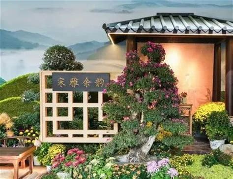 杭州、开封“遥相呼应” 两宋菊花精品展在杭州启幕 - 河南省文化和旅游厅