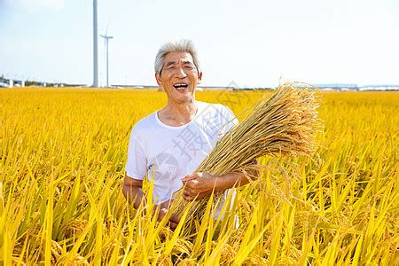 秋季农民稻田丰收高清图片下载-正版图片501812680-摄图网