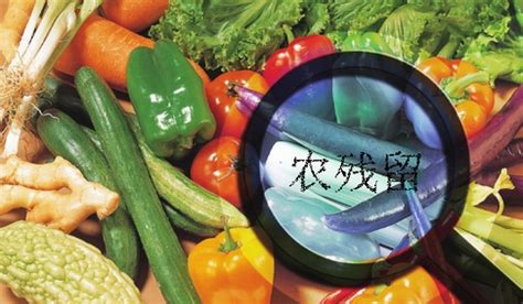 60种常见蔬菜收货验收标准 - 知乎