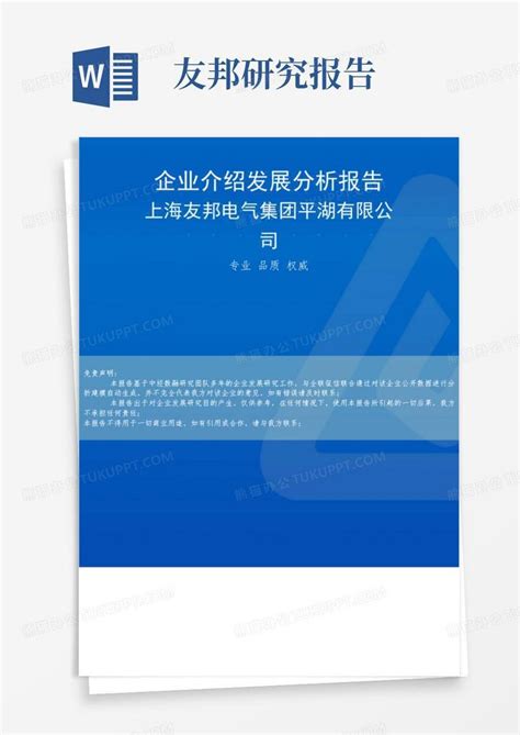 上海友邦电气集团平湖有限公司介绍企业发展分析报告Word模板下载_编号lmanmbbp_熊猫办公