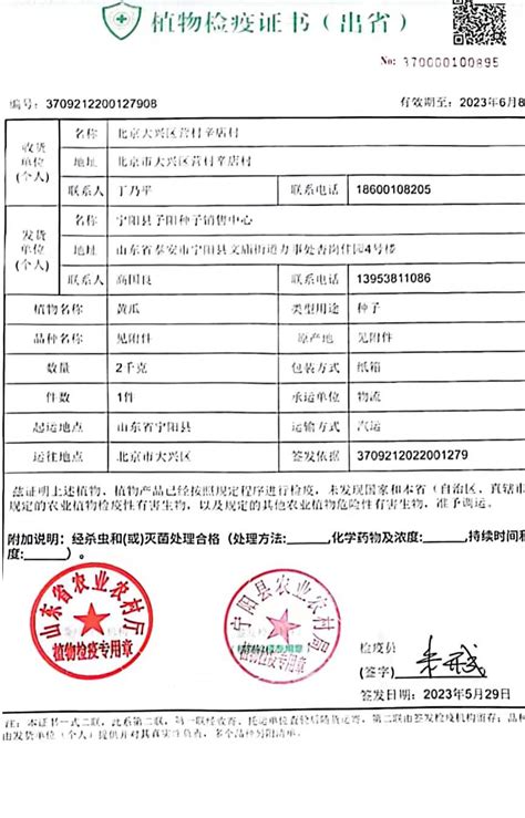 宁阳县人民政府 办理结果 【行政许可办理结果】植物检疫证书（出省）