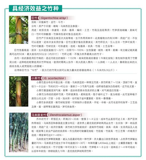 景观竹子种类24个品种 常见园林植物 常绿高大遮挡花木-行情资讯-长景园林网